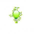 Light Bulb Vine