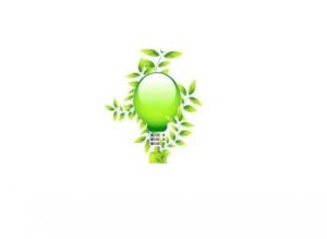 Light Bulb Vine