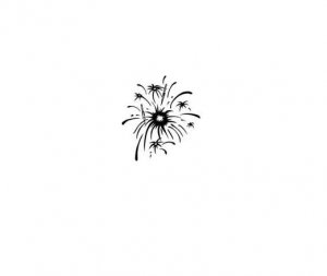 Firework bw