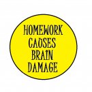 Homewok causes brain damage