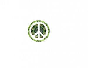 Acid Peace Sigb