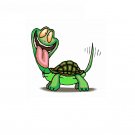 Crazy Turtle