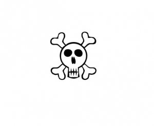 Long Skull and Cross bone