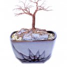 Wire tree