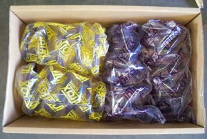 NEW Intrax Lowering Springs for 1992-1996 Honda Prelude (Includes AWS)