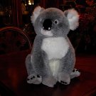 Koala Bear