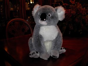 Koala Bear