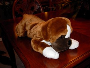 Stuffed Dog