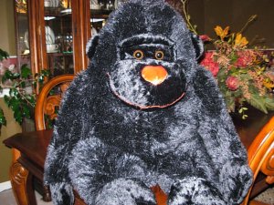 Greater Gorilla