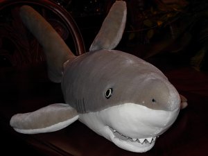 Great White Shark