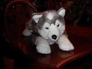 Stuffed Wolf