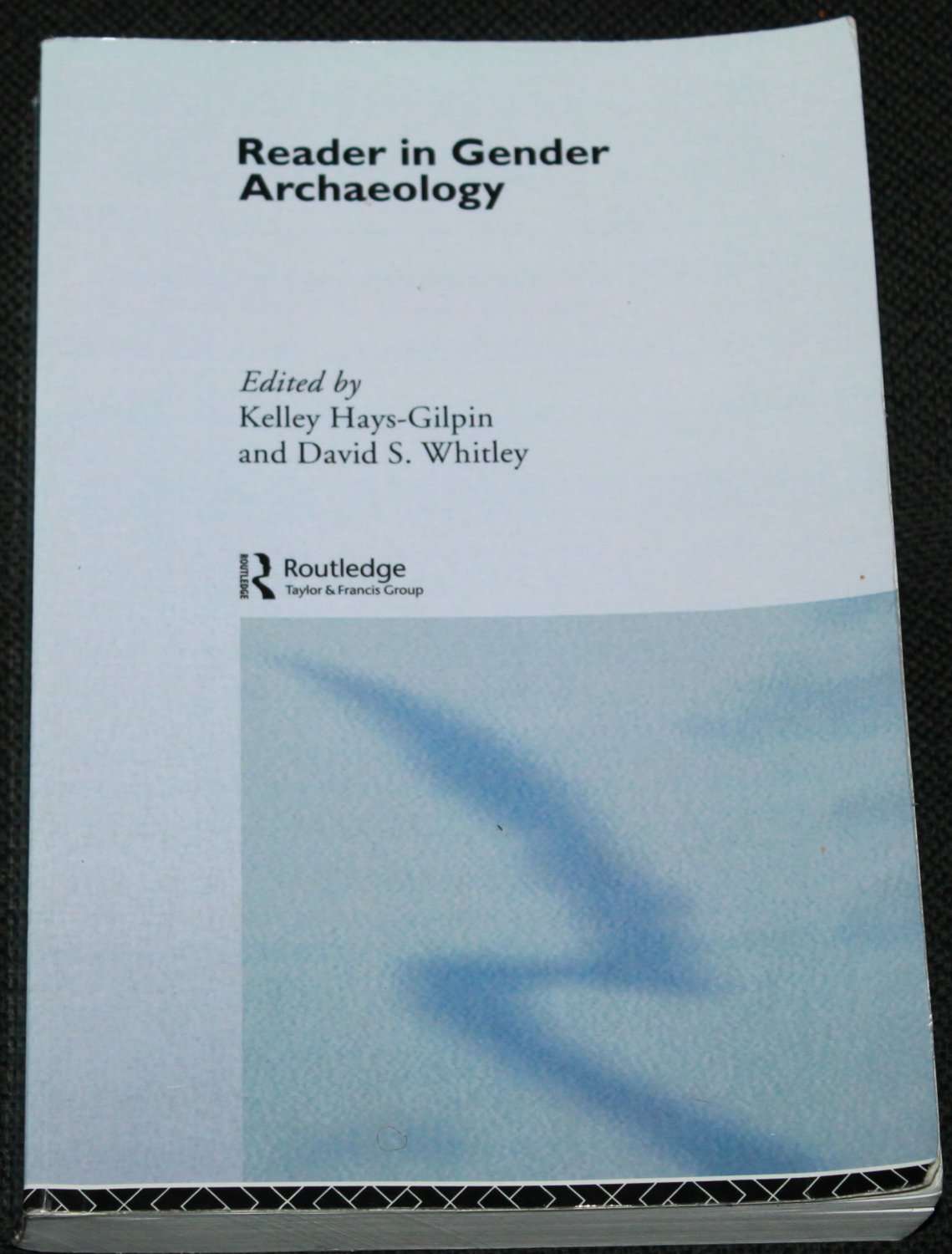 Gender Archaeology book by Kelley HaysGilpin and David S. Whitley