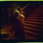 Gone With The Wind Theater Film Transparency GWTW RARE