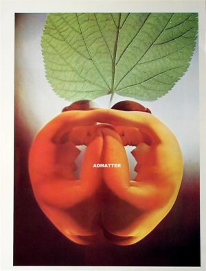 Vintage Sexy Pin-up poster print Nude Topless Twins!