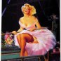 Sexy Hot  Pin-up Girl Print Amazing Legs! 8.5 X 11