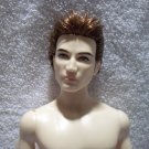 NUDE-Ken-OOB-ModelMuse-Redress/OOAK-Auburn Hair-199