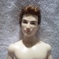 NUDE-Ken-OOB-ModelMuse-Redress/OOAK-Auburn Hair-199
