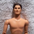 NUDE-Barbie-KEN-Poseable-4 Redress/OOAK Makeover-183