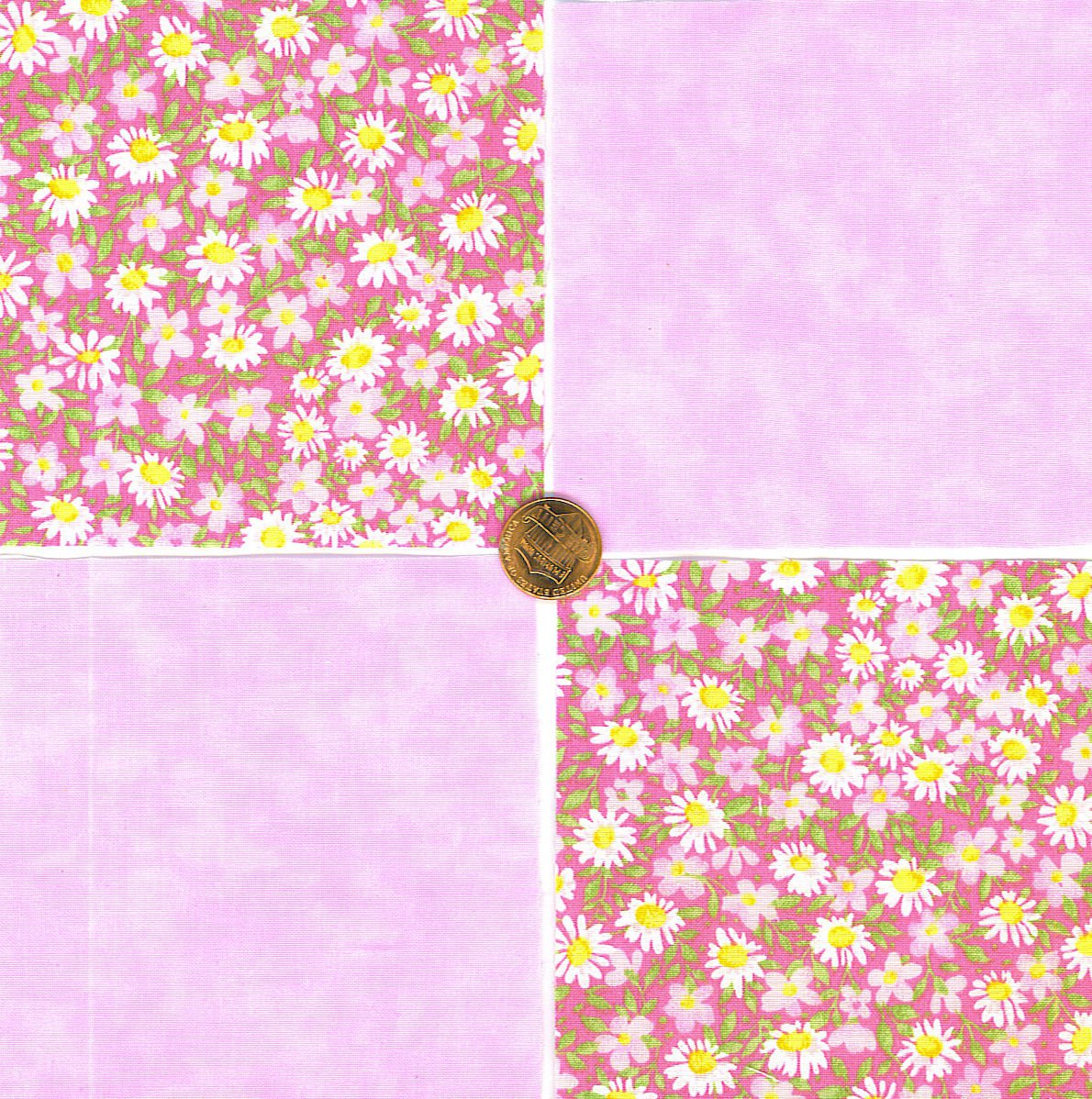 Daisy Daisies Flowers Pink Fabric 100 Cotton Squares 39b zw1