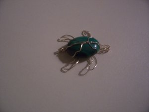 Turtle Turtle