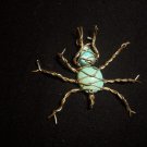 Turquoise Beetle