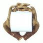 Deer Antler Toilet Paper Holder