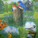 MadieBs Spring Birds  Custom  Window Valance New