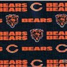 MadieBs NFL Chicago Bears  Custom Pillowcase  w/Name