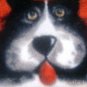 MadieBs Dogs Mutts Pets Toddler Baby Blanket 30c36