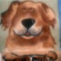 MadieBs Dogs Mutts Pets Toddler Baby Blanket 30c36