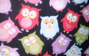 MadieBs Cute Colorful Owls   Nap Mat Pad Cover w/Name