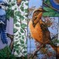 MadieBs Backyard Bird Friend Custom Smock Cobbler Apron