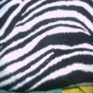 MadieBs Zebra Stripe Crib Toddler Bed Sheet Set New