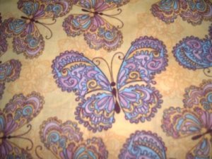 MadieBs Butterflies  Nap Mat Pad Cover w/Name
