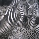 Zebra Lion Cat Juingle Safari Animal Personalized Custom  Pillowcase  w/Name