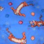 MadieBs Set of 2 Tigger Roo on Blue Fitted Cotton Crib Sheets