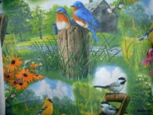 MadieBs Spring Birds Cotton New Custom Smock Cobbler Apron