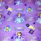 MadieBs Princess in Training  Cotton Personalized Custom  Pillowcase  w/Name