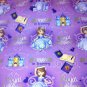 MadieBs Princess in Training Cotton Personalized Custom Pillowcase w/Name