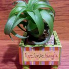 Tilla Critters Lovely Lucy One of a Kind Air Plant Creations from Chili Fiesta..
