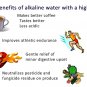 Quantum Flask H2O Alkaline Energy Water Ionizer Scalarizer Nano Cup