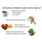Quantum Flask H2O Alkaline Energy Water Ionizer Scalarizer Nano Cup