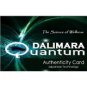QP6 Quantum Pendant Scalar Energy Roman Cross Design