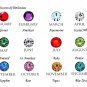 PICK-YOUR-OWN Swarovski Crystal QP7 Quantum Pendant 5K Negative Ions