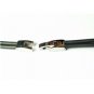 QB48 Dalimara Kasugai Double-cord Rubber & Stainless Steel Crystal Gold Bracelet