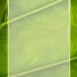 QP20 Judaica Star of David Pendant Energy Quantum Necklace