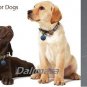 Dalimara Large Reflective Pet Collar & Nano Q Pendant - Red