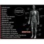 50 Lot Bio Scalar Energy Nano Card - Wholesale