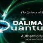 QB35 Dalimara Quantum Bracelet Stainless Steel 2-Tone Energy Band