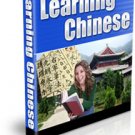 Beginners Guide to Learning Chinese